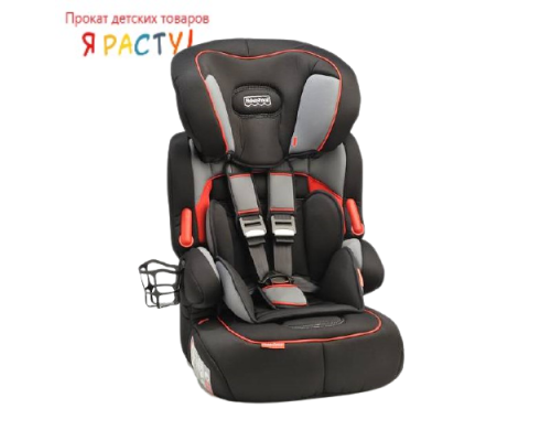 Автокресло Fisher-Price Beline SP Moonlight (9-36кг) серое 
