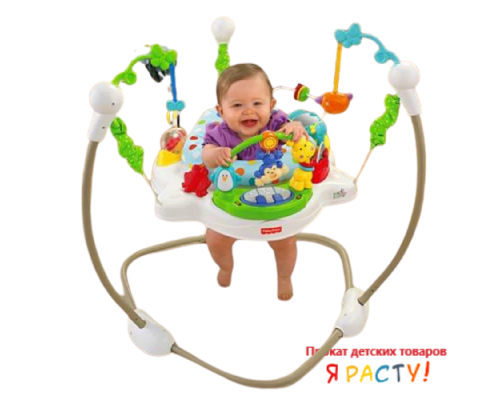 Прыгунки "Zoo Party" (Fisher-Price) 