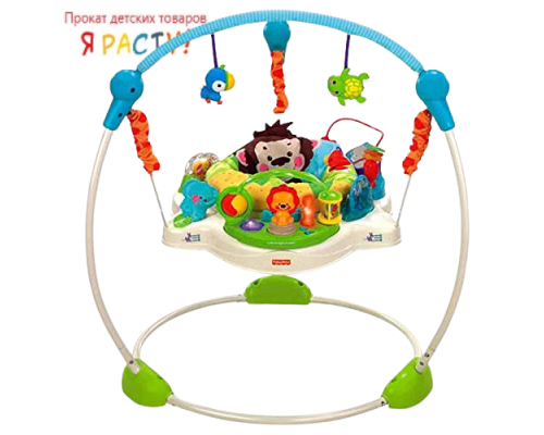 Прыгунки «Удивительная планета» (Fisher Price) 