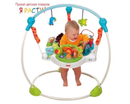 Прыгунки «Удивительная планета» (Fisher Price) 