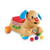 Ходилка-каталка Fisher-price "Музыкальный щенок" 