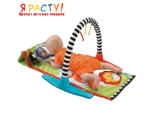 Коврик развивающий Fisher Price с дугой "Животные друзья" 