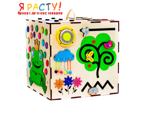 Бизибокс «Царевна-лягушка» 