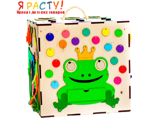 Бизибокс «Царевна-лягушка» 