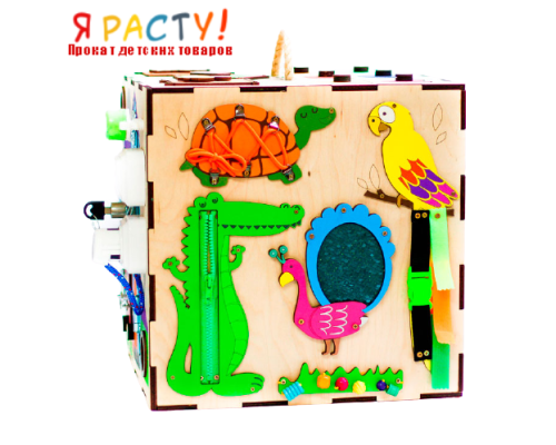 Бизибокс «Царевна-лягушка» 