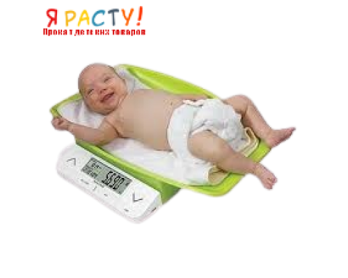 Детские электронные весы Salter MiBaby 9080 GN3R 